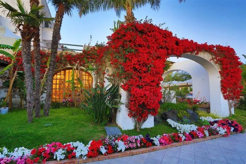 General view, B&B HOTEL - ISCHIA San Nicola, Naples