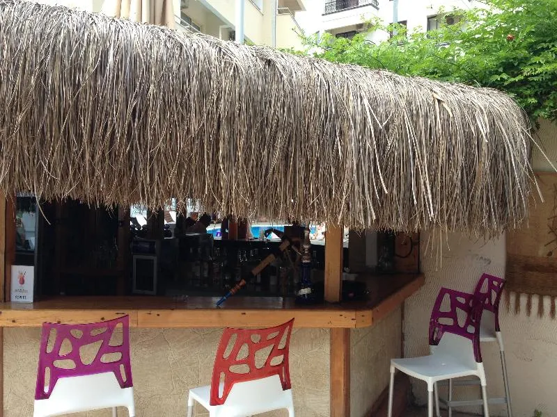 Bar, Sesin, Dalaman