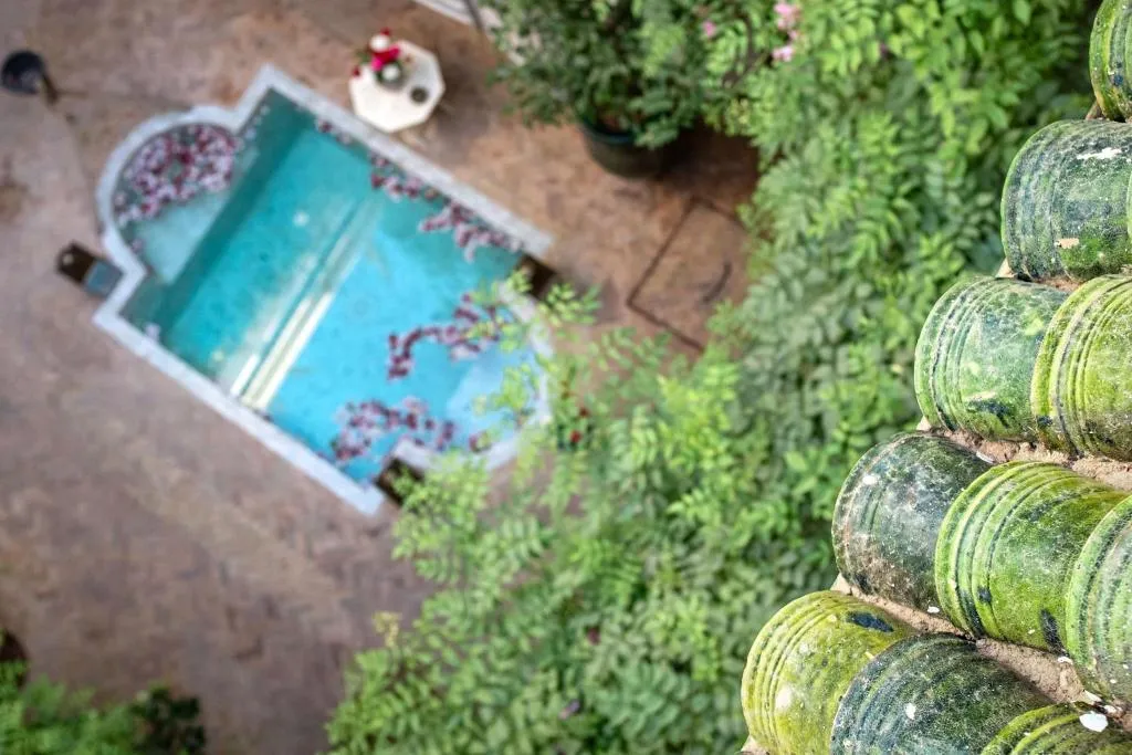 General view, Riad Le Coq Fou, Marrakech