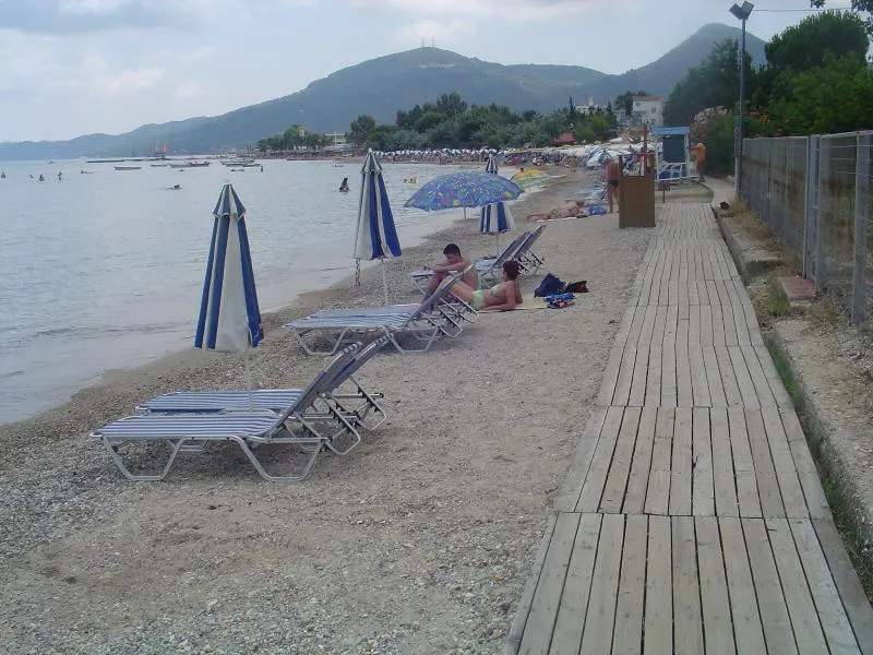 Beach, Sea Bird, Corfu