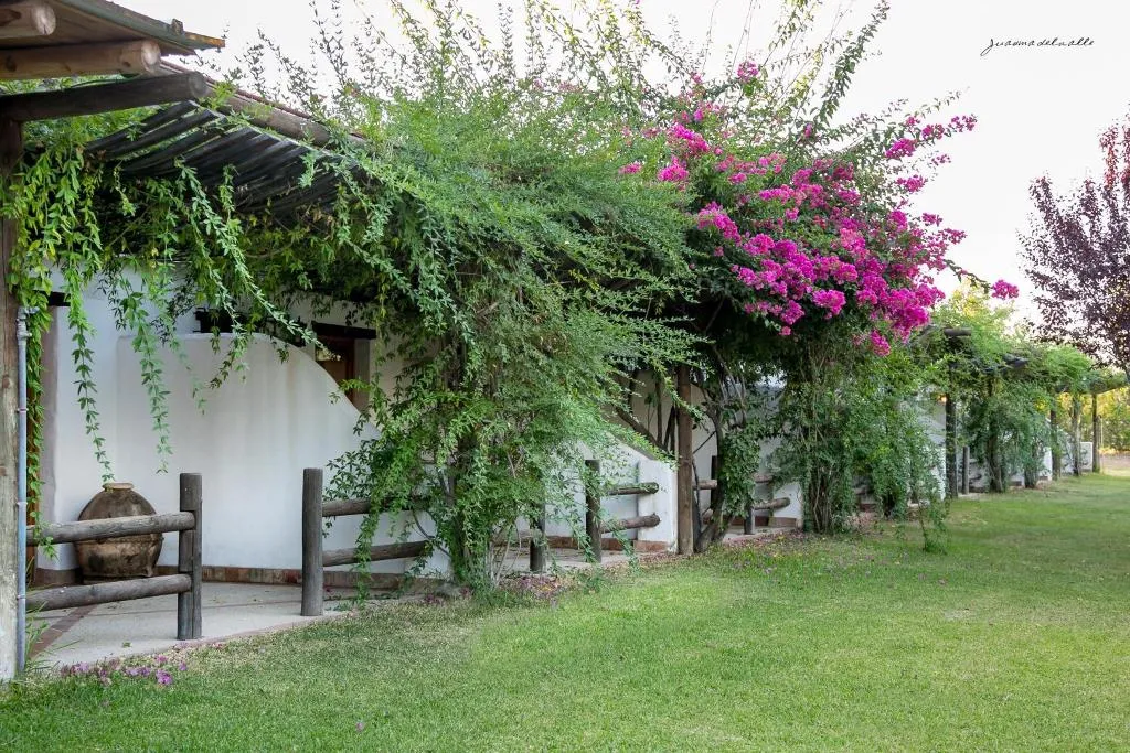 TWIN STANDARD Room, Ardea Purpurea, Andalucia