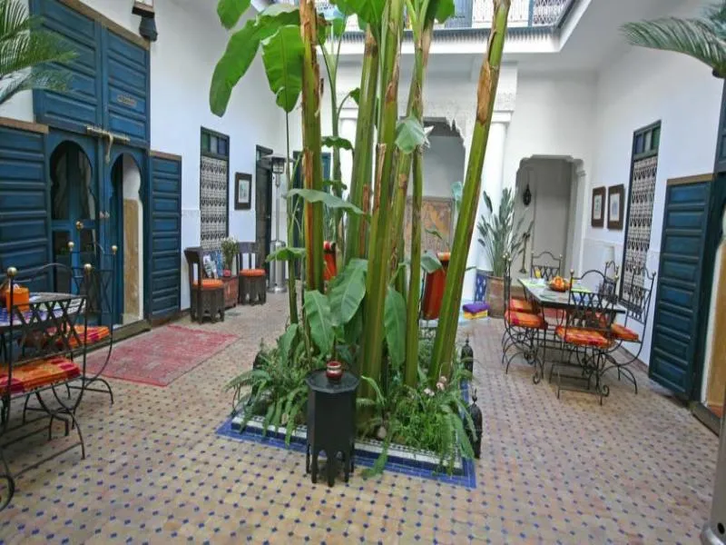 General view, Riad Aloes, Marrakech