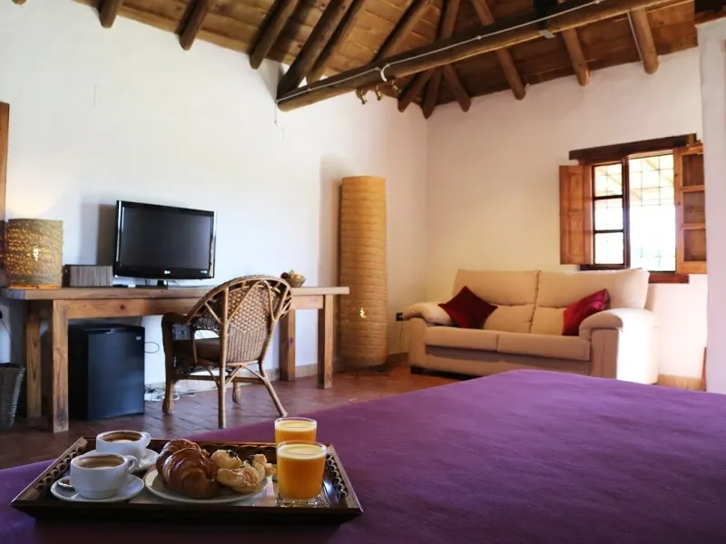JUNIOR SUITE STANDARD Room, Ardea Purpurea, Andalucia