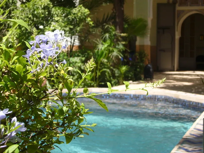 Pool, Riad Laila, Marrakech