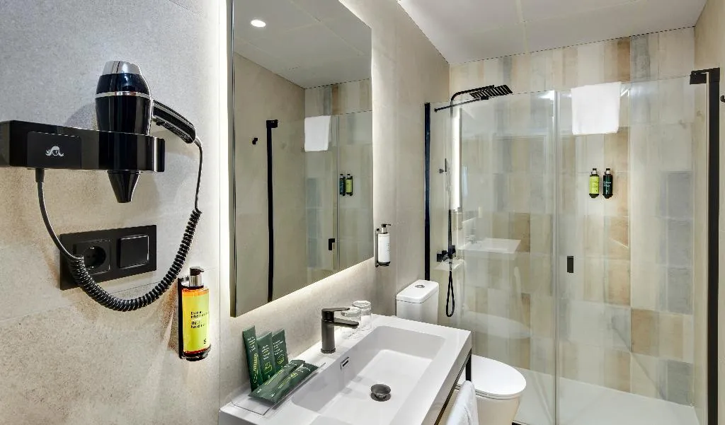 DOUBLE CLASSIC Room, Sercotel Alfonso VI, Madrid