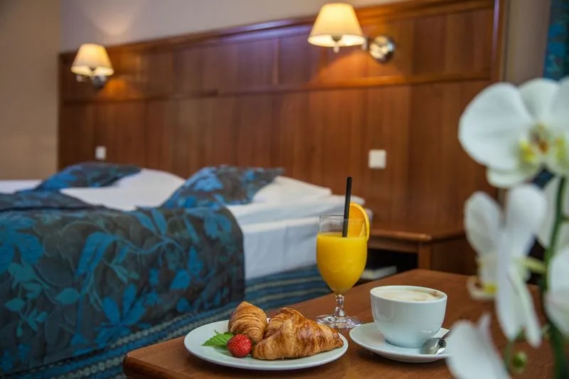 General view, Farmona Hotel Business & SPA, Krakow