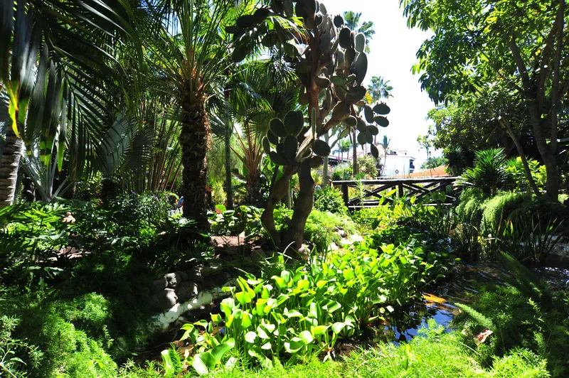 General view, Parque Tropical, Gran Canaria