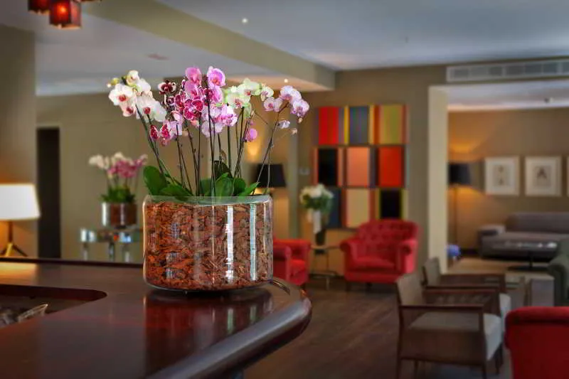 Bar, Luxury Boutique Hotel Can Alomar, Majorca