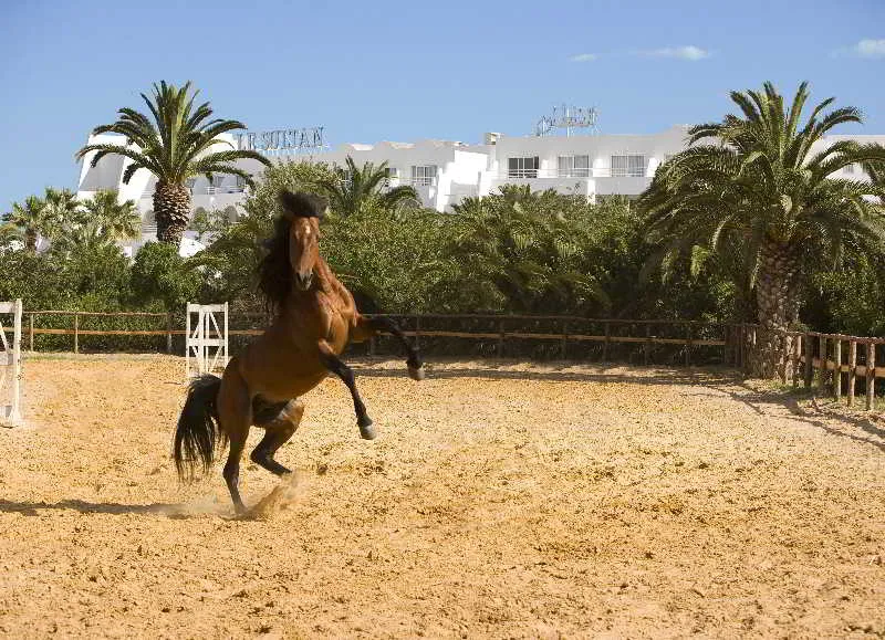 Sports and Entertainment, Le Sultan Hammamet, Tunisia