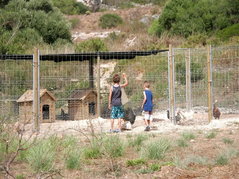 Sports and Entertainment, Royal Son Bou Family Club, Menorca