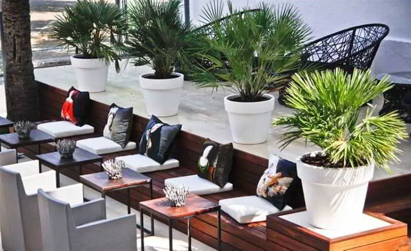 Terrace, Feliz, Majorca