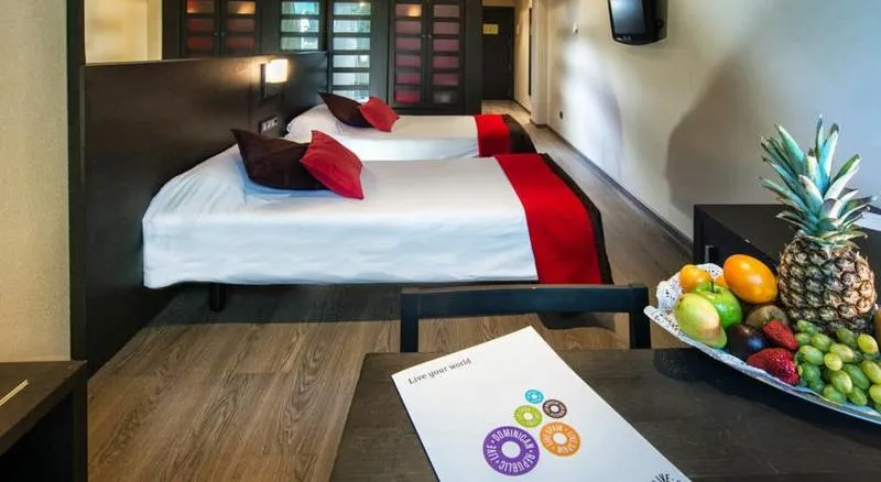 DOUBLE SUPERIOR Room, hotel  Talavera, Madrid