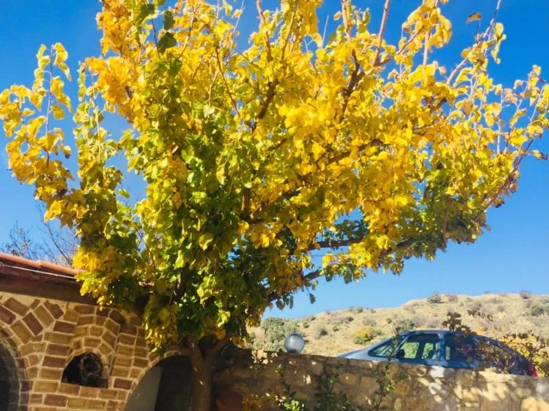 General view, Aravanes Mountain Resort & Eco Cuisine, Crete