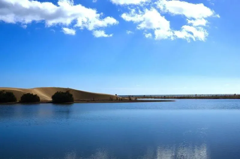 General view, Apartamentos Maspalomas Oasis, Gran Canaria