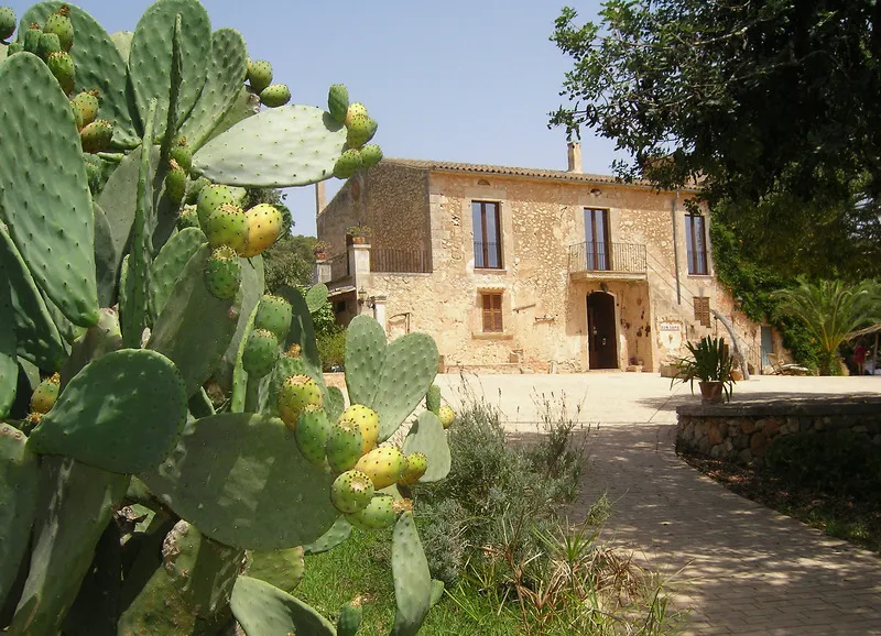 General view, Son Sama, Majorca
