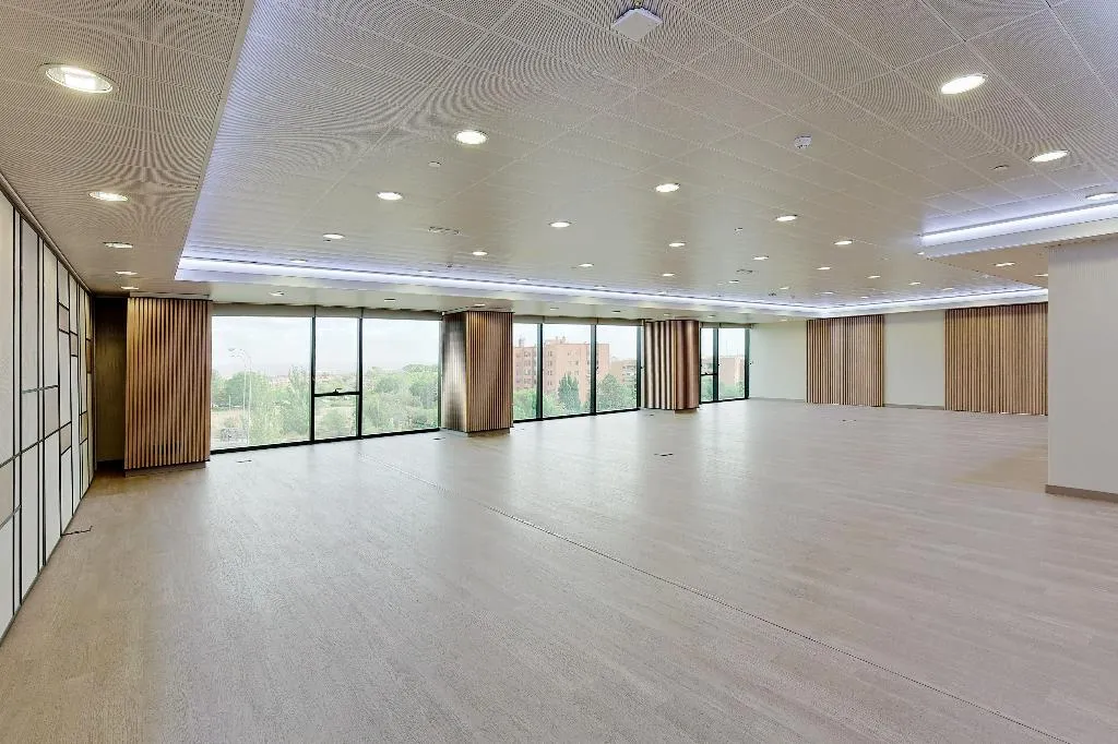 Conferences, Melia Avenida America, Madrid