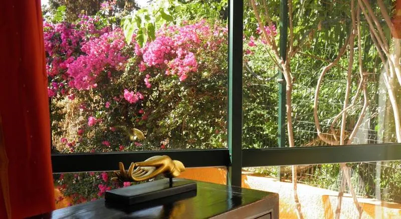 General view, Alpino Atlantico Ayurveda Cure Centre Adults Only, Madeira