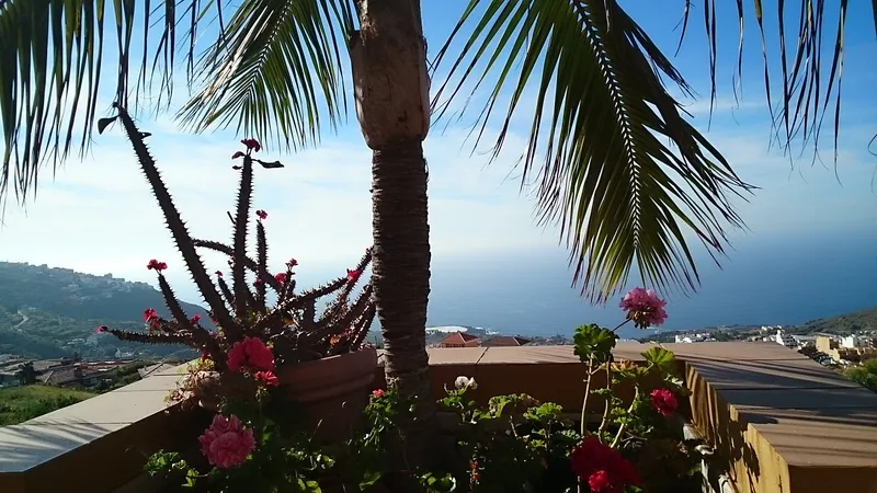 Terrace, Estrella Del Norte, Tenerife