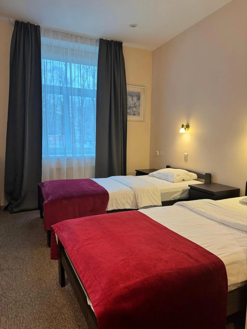 Double or Twin STANDARD Room, Avitar, Riga