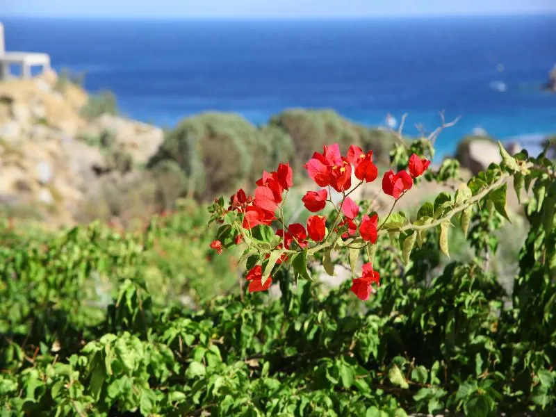 General view, Nama Villas, Mykonos