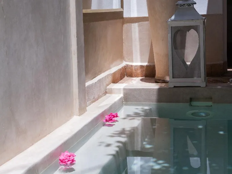 Pool, Riad Les Orangers D'Alilia, Marrakech