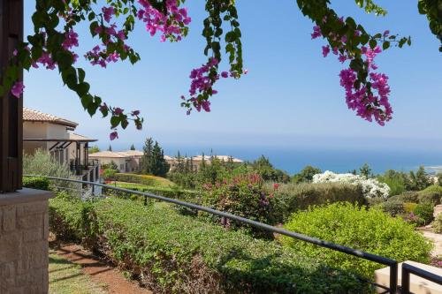 Aphrodite Hills Rentals – Apartments, Cyprus