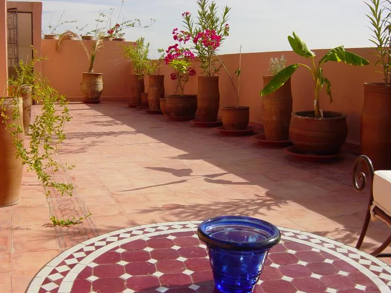 Terrace, Riad Sidi Ayoub, Marrakech