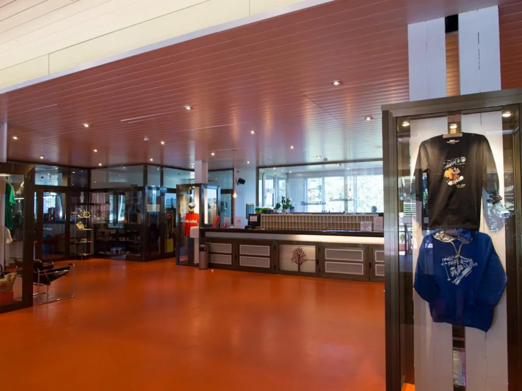 Lobby, Alp Hotel Masella, Costa Brava