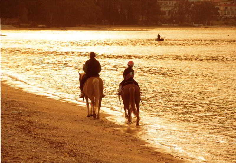 Beach, Dimitris Studios, Kefallinia