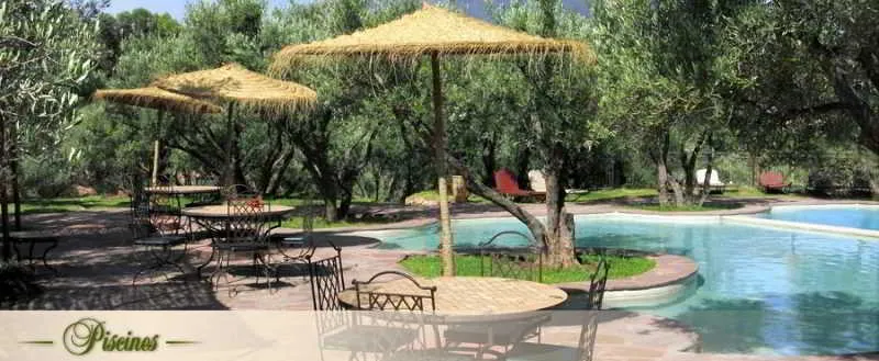 General view, Oliveraie De Marigha, Marrakech