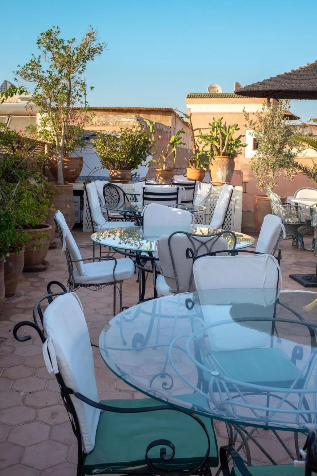 General view, Riad Le Coq Fou, Marrakech