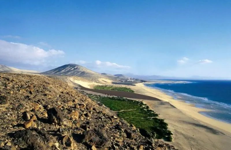 Sports and Entertainment, Fergus Cactus Garden, Fuerteventura