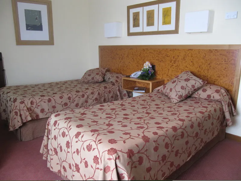 DOUBLE SINGLE USE STANDARD Room, Sercotel Cuatro Postes, Madrid
