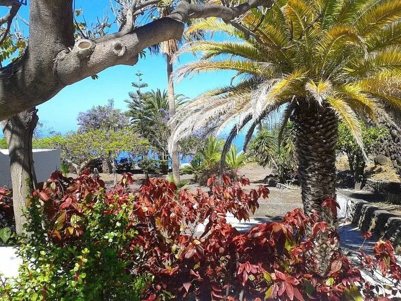 General view, Los Castellanos, La Palma