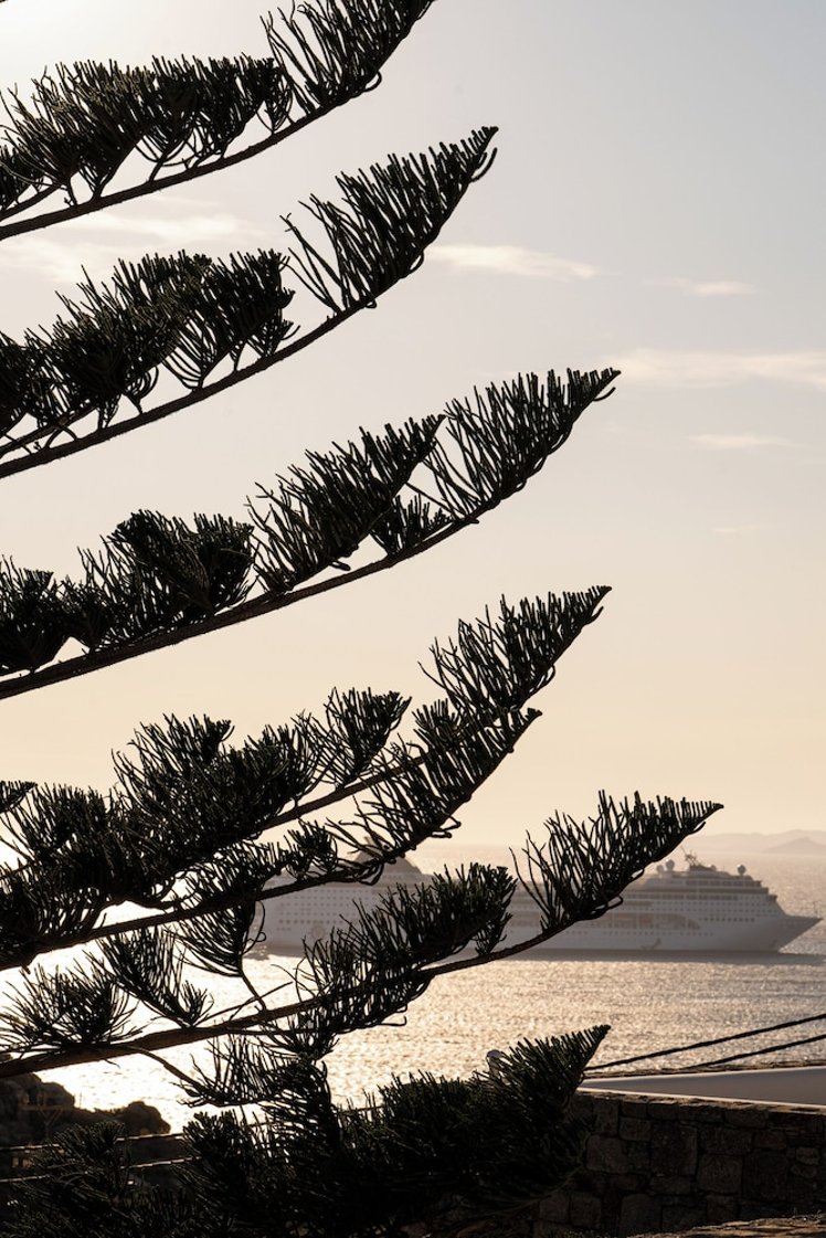 Arocaria, Mykonos