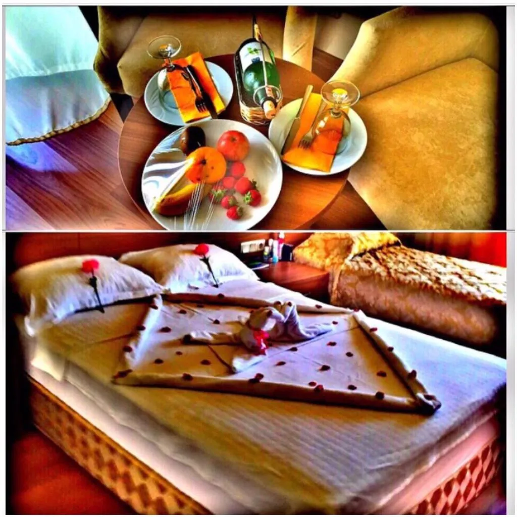 DOUBLE SINGLE USE STANDARD Room, Meril Hotel, Dalaman