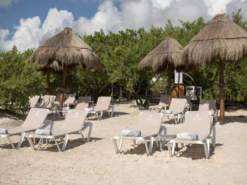 Beach, Platinum Yucatan Princess, Playa Del Carmen