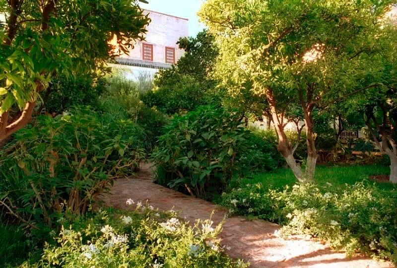General view, Riad Madani, Marrakech