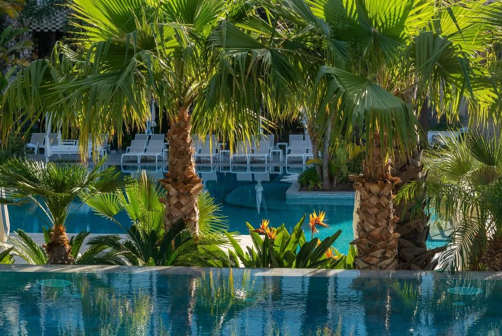 Pool, Aqua Hotel Silhouette & Spa**** Adults Only, Costa Brava