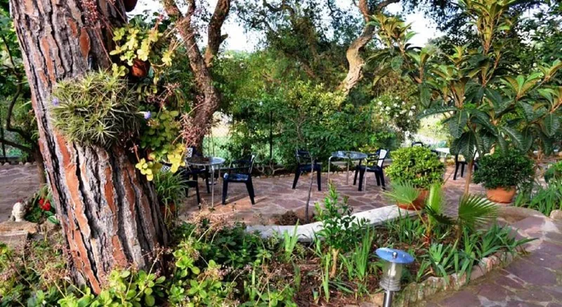 Terrace, Magnolia, Costa Brava