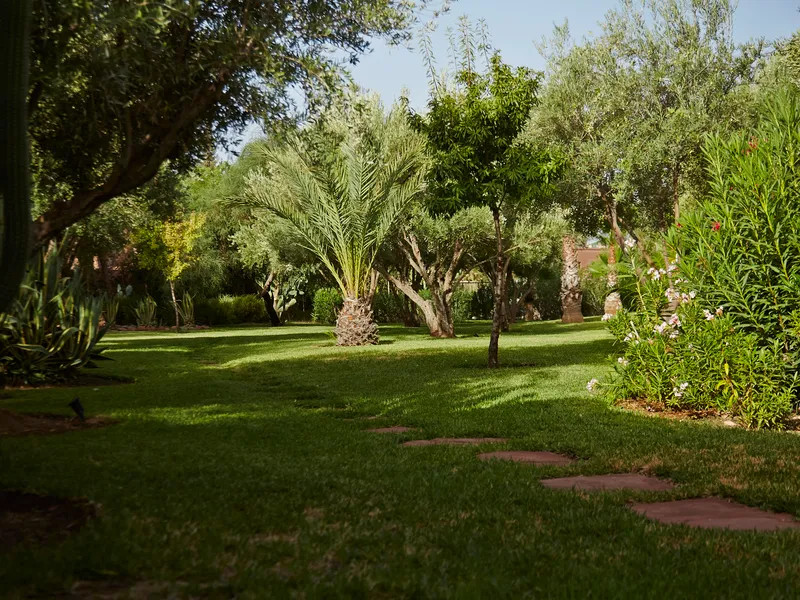 Terrace, Villa Vanille, Marrakech