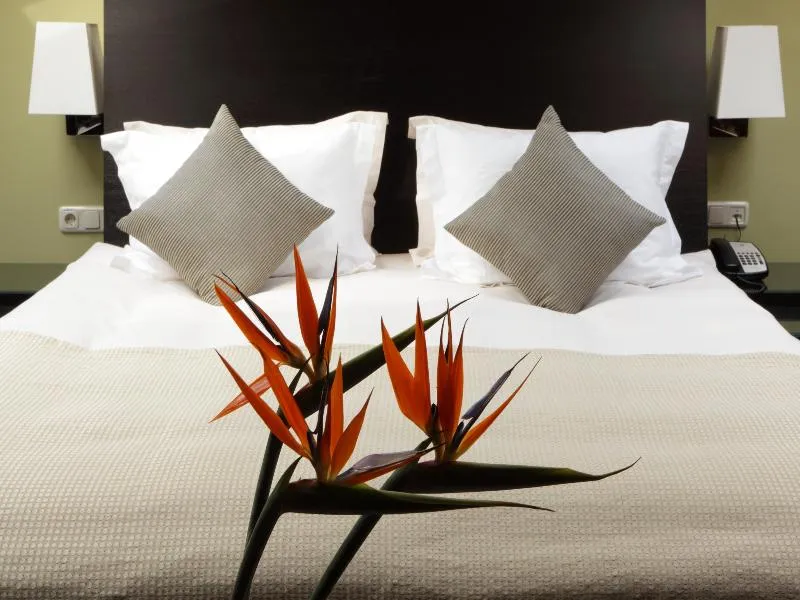DOUBLE STANDARD Room, Gallery Park Hotel & SPA, Riga