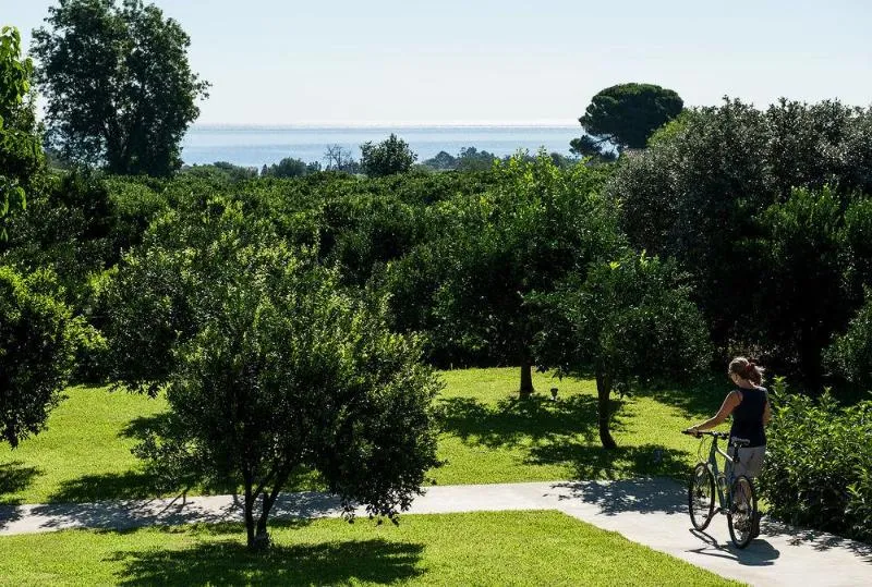 General view, Zash Country Boutique, Catania
