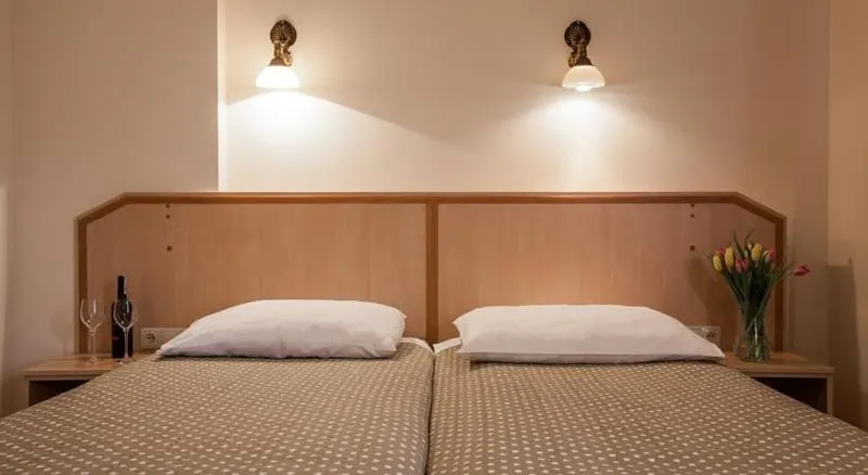 DOUBLE SINGLE USE STANDARD Room, Antica Residence, Krakow