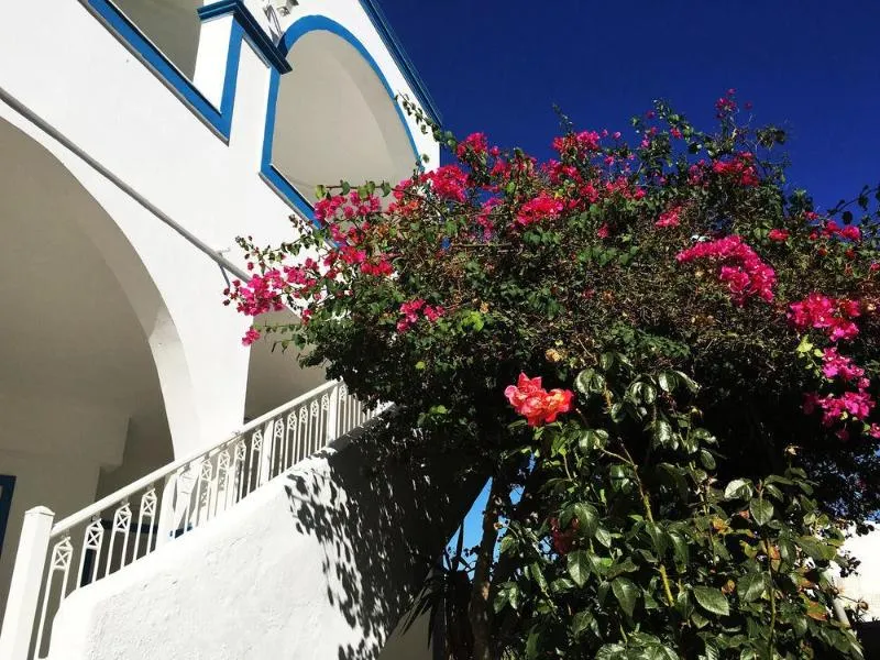 General view, Lodos, Santorini