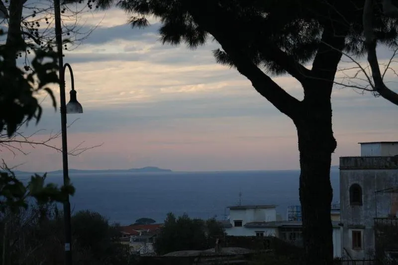 General view, Il Platano, Naples