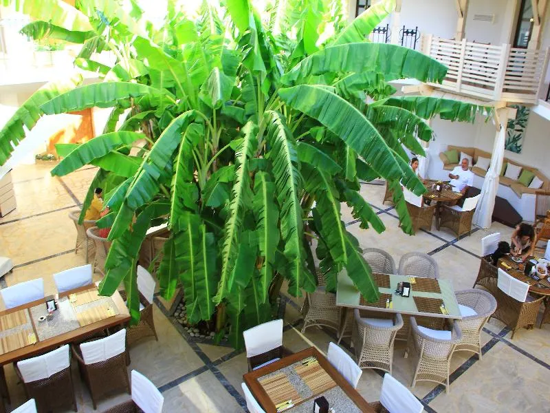 Restaurant, Torbahan Hotel, Bodrum
