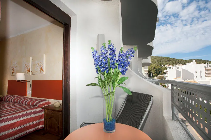 Room, Parot, Ibiza