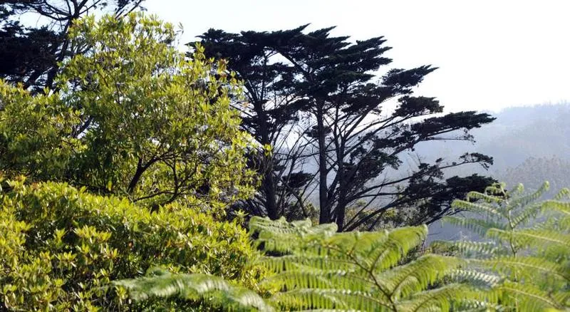 General view, Quinta da Cova do Milho, Madeira