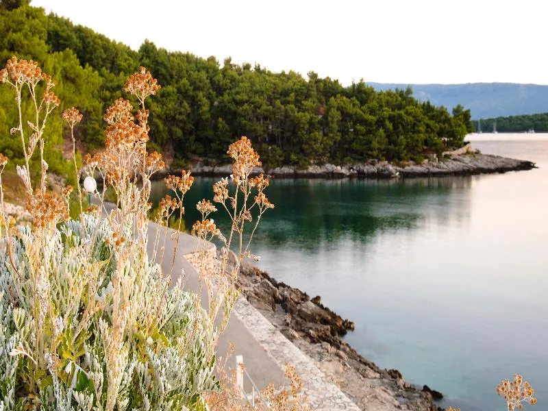 Beach, Fontana Bayside Park, Split